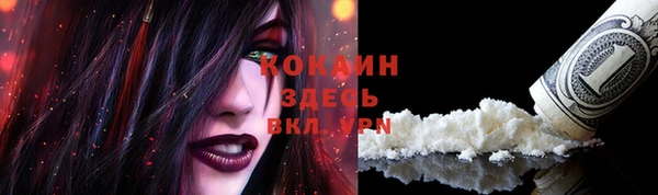 ПСИЛОЦИБИНОВЫЕ ГРИБЫ Няндома