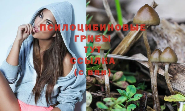 ПСИЛОЦИБИНОВЫЕ ГРИБЫ Няндома