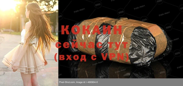 ПСИЛОЦИБИНОВЫЕ ГРИБЫ Няндома
