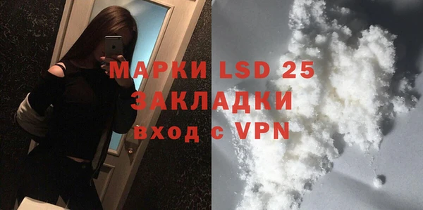 ПСИЛОЦИБИНОВЫЕ ГРИБЫ Няндома