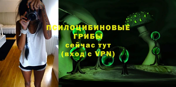 мескалин Нязепетровск