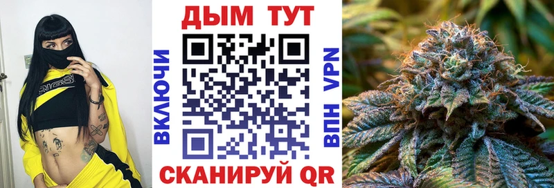 Каннабис гибрид Пойковский